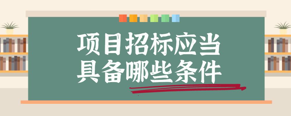 项目招标应当具备哪些条件