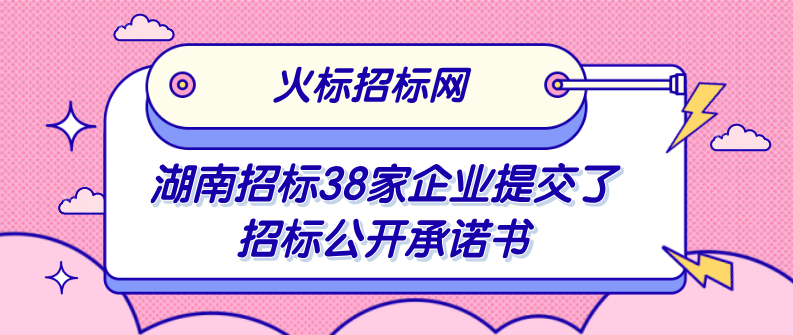 湖南招标38家企业提交了招标公开承诺书