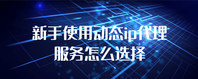 新手使用动态ip代理服务怎么选择.png